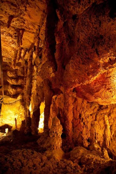 Maden Tetkik Arama Şehit Cuma Dağ Tabiat Tarihi Müzesi