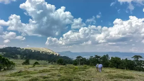 Sarıçalı Dağı Milli Parkı