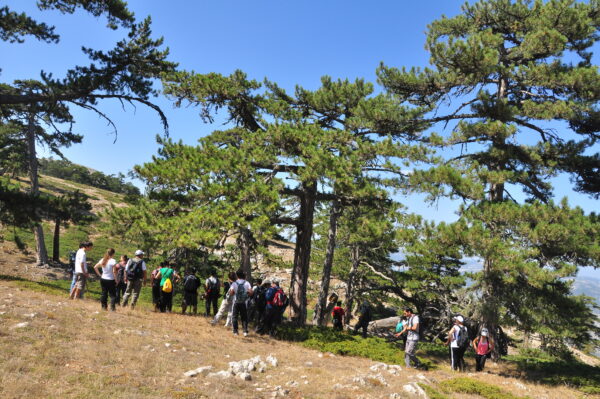 Sarıçalı Dağı Milli Parkı